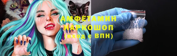 прущие грибы Сатка