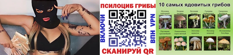 Псилоцибиновые грибы Psilocybe Весьегонск