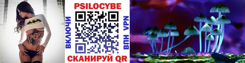 даркнет сайт  Весьегонск  Галлюциногенные грибы Psilocybine cubensis 